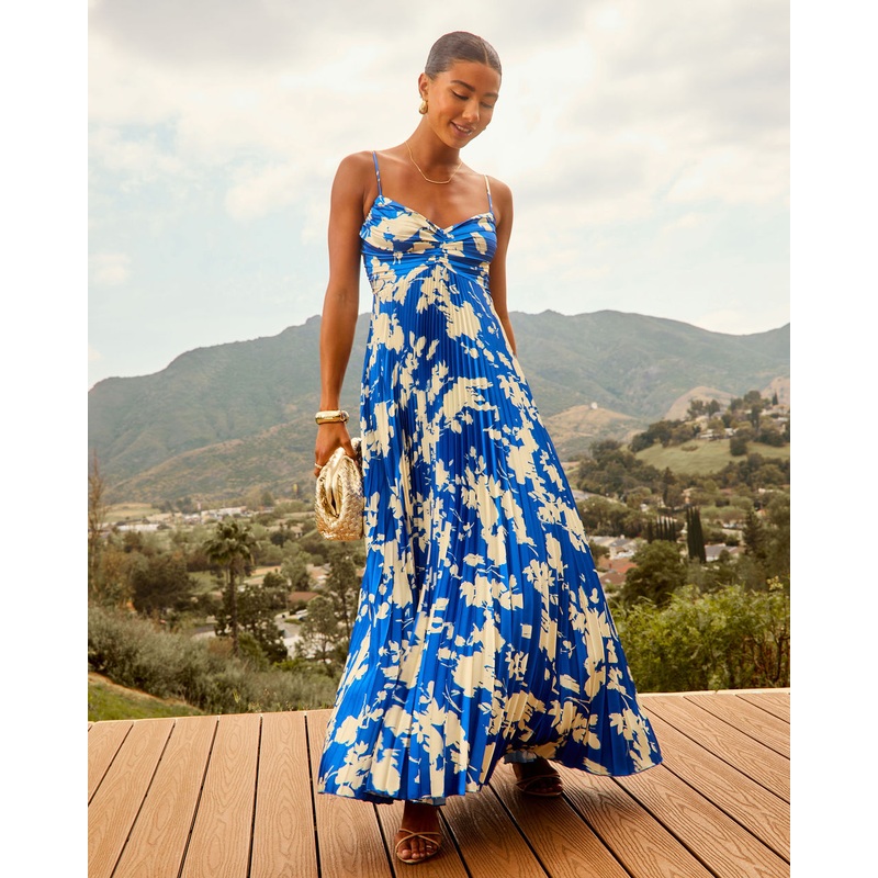 Soraya Printed And Pleated Maxi Dress