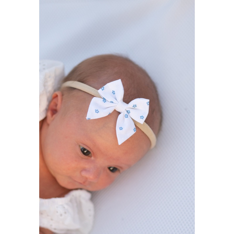 Indy Bloom- Blue | Mini Piggy Bow