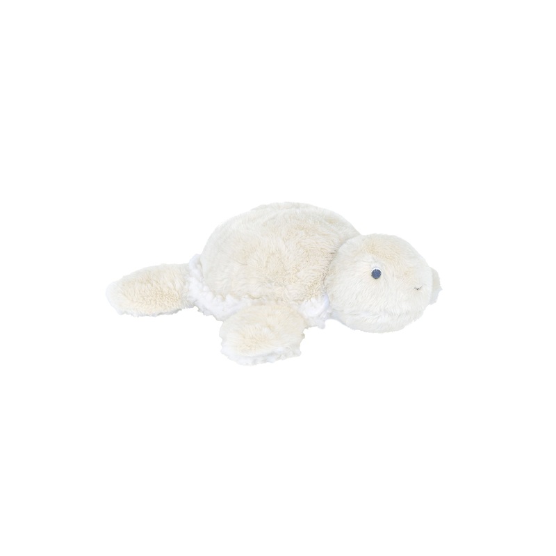 Turtle Terry #1 by Happy Horse