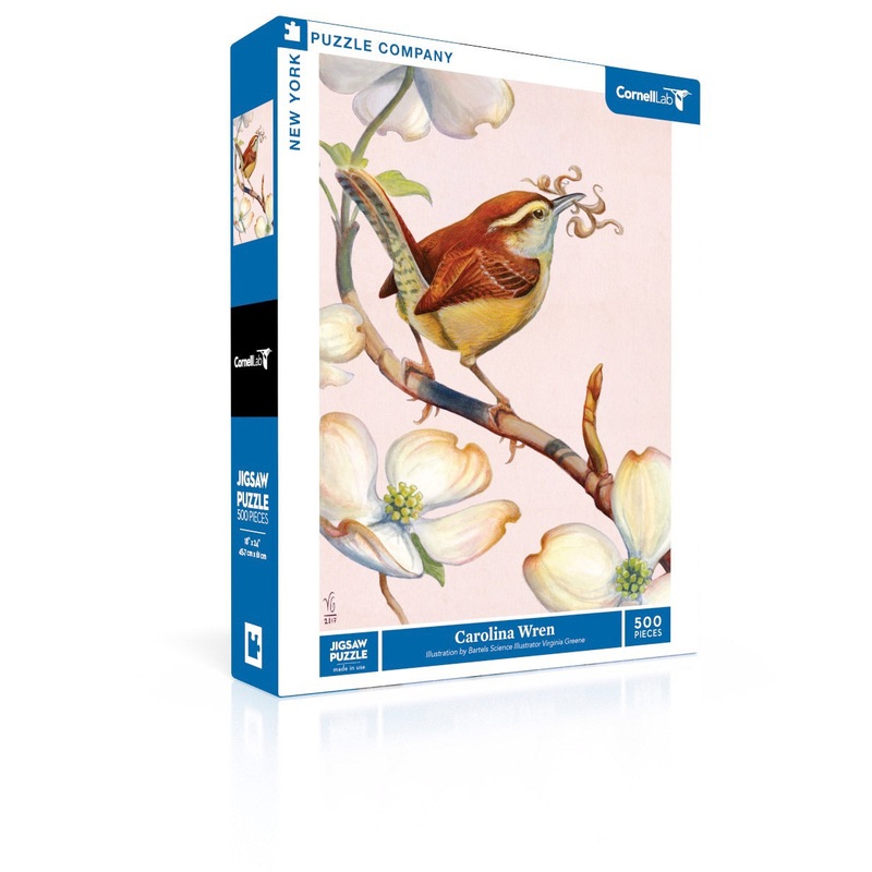 Carolina Wren