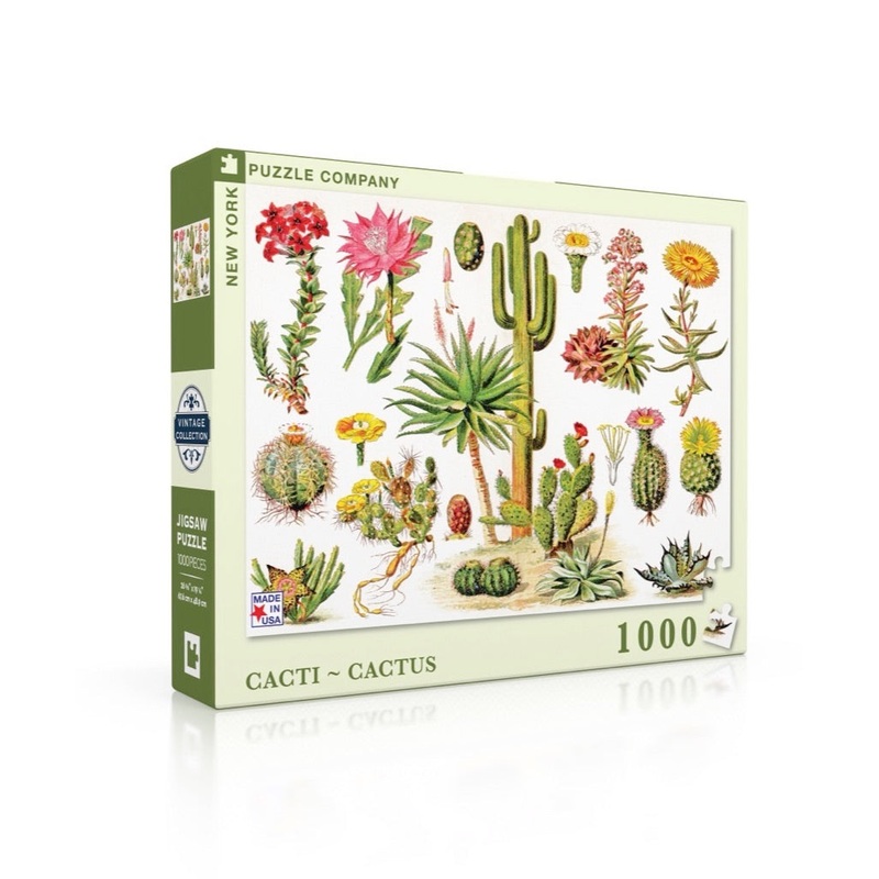 Cacti ~ Cactus