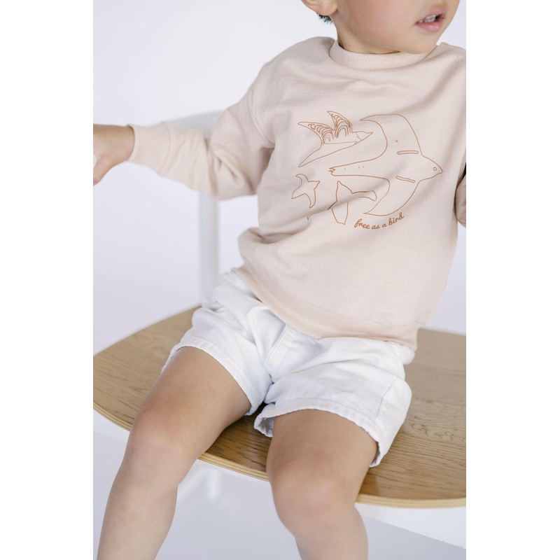 Free as a Bird Kid’s Pullover|18mo|2T|3T|4T|5T|6 (Youth Small)|7 (Youth Medium)