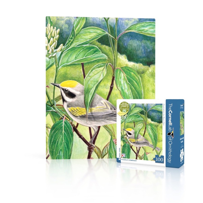 Golden-winged Warbler Mini