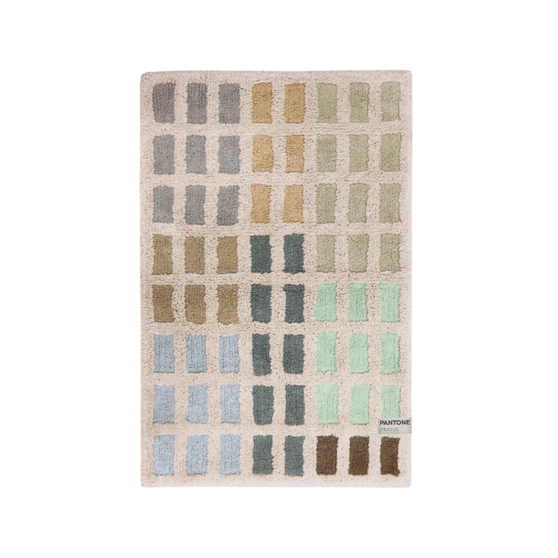 WASHABLE RUG PANTONE OSLO|60 x 90 cm|Multicolor