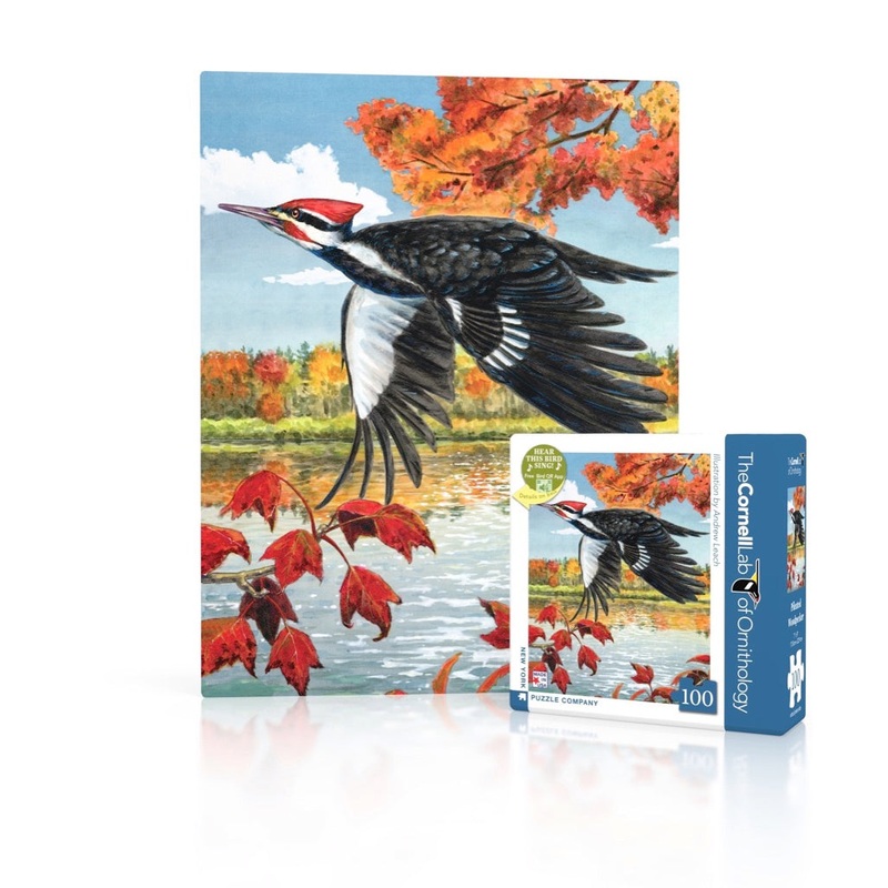 Pileated Woodpecker Mini