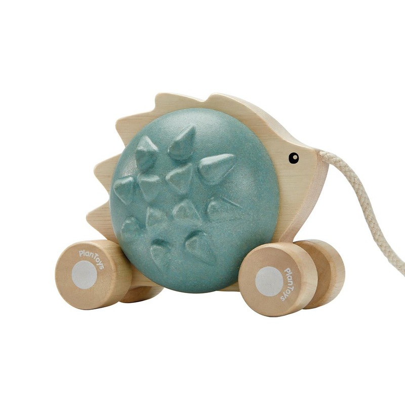 Pull-Along Hedgehog – Blue