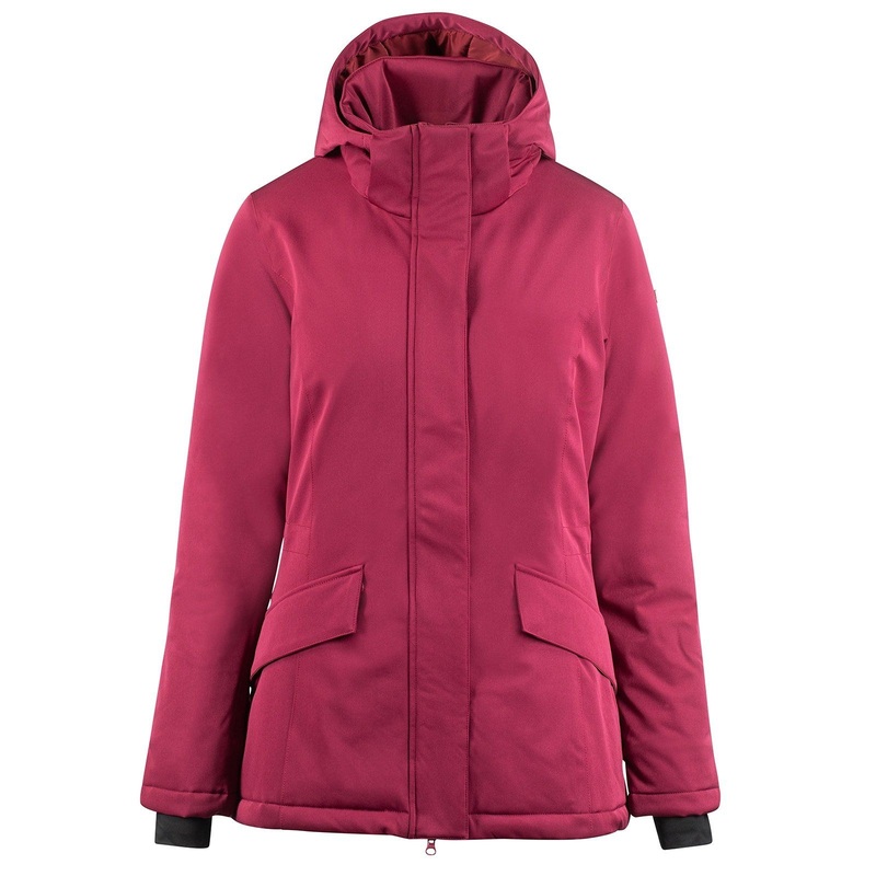 Trendy Womens Padded Riding Jacket for Winter Outdoor Adventures Hj250120ho01 – Riding Jacket and Outdoor Jacket price