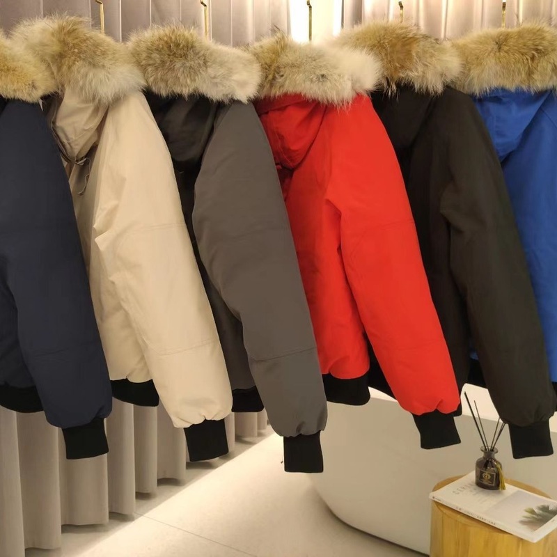 Wholesale High Quality Designer Luxury Famous Down Jackets Puffy Jacket Mens Down Coats – Parka Down Jacket Winter Wear and Goosewinter Down Jacket Hooded Coat price