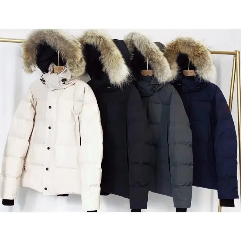Clothing High Quality Quilted Down Jacket Outdoor Windproof Thickened Warm Puffer Jacket Manufacturer Wholesale Custom Winter – Parka Down Jacket Winter Wear and Goosewinter Down Jacket Hooded Coat price