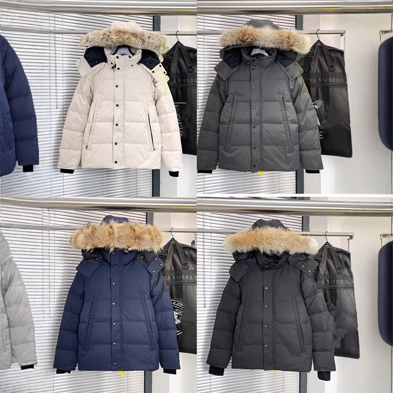 Goose Down Jacket Wyndham Canada Same Style Wyndham Mens and Womens Coats – Hooded Cotton Jacket and Fashion Jacket price