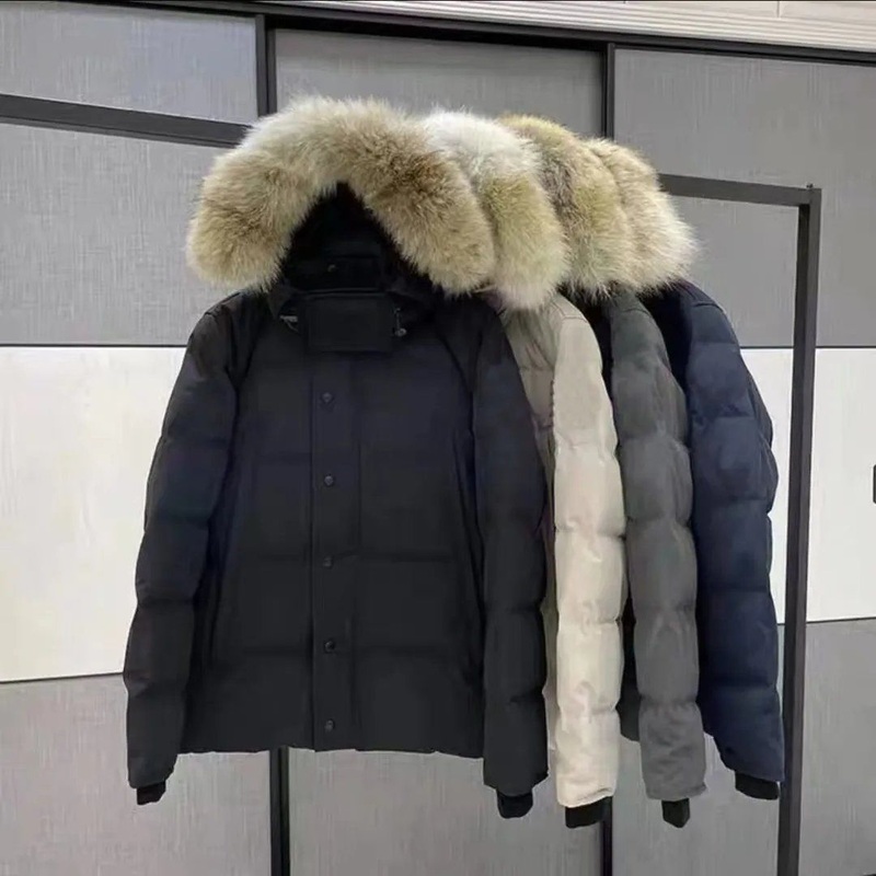 Winter Jacket Puffer Coat Mens Designer Down Parkas Bodywarmer Womens Cotton Luxury Windbreakers Couples Thickened Warm Coats – Designer Down Jacket and North Down Face Jacket price