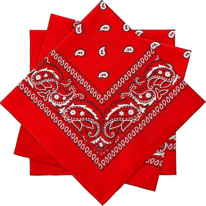 3 Pieces Paisley Bandana Unisex Bandana Scarf Men Women Head Scarf Neck Scarves | Fruugo SG